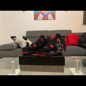 Air Jordan Retro 4 Raptors